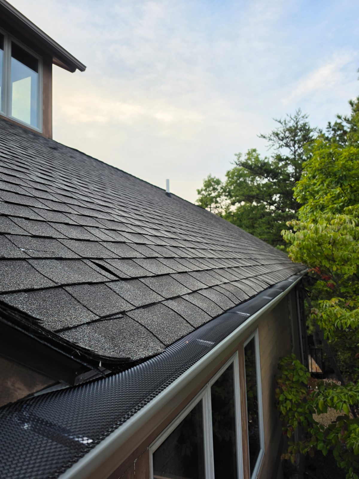 Gutter with mesh guard running along a shingle roof edge.