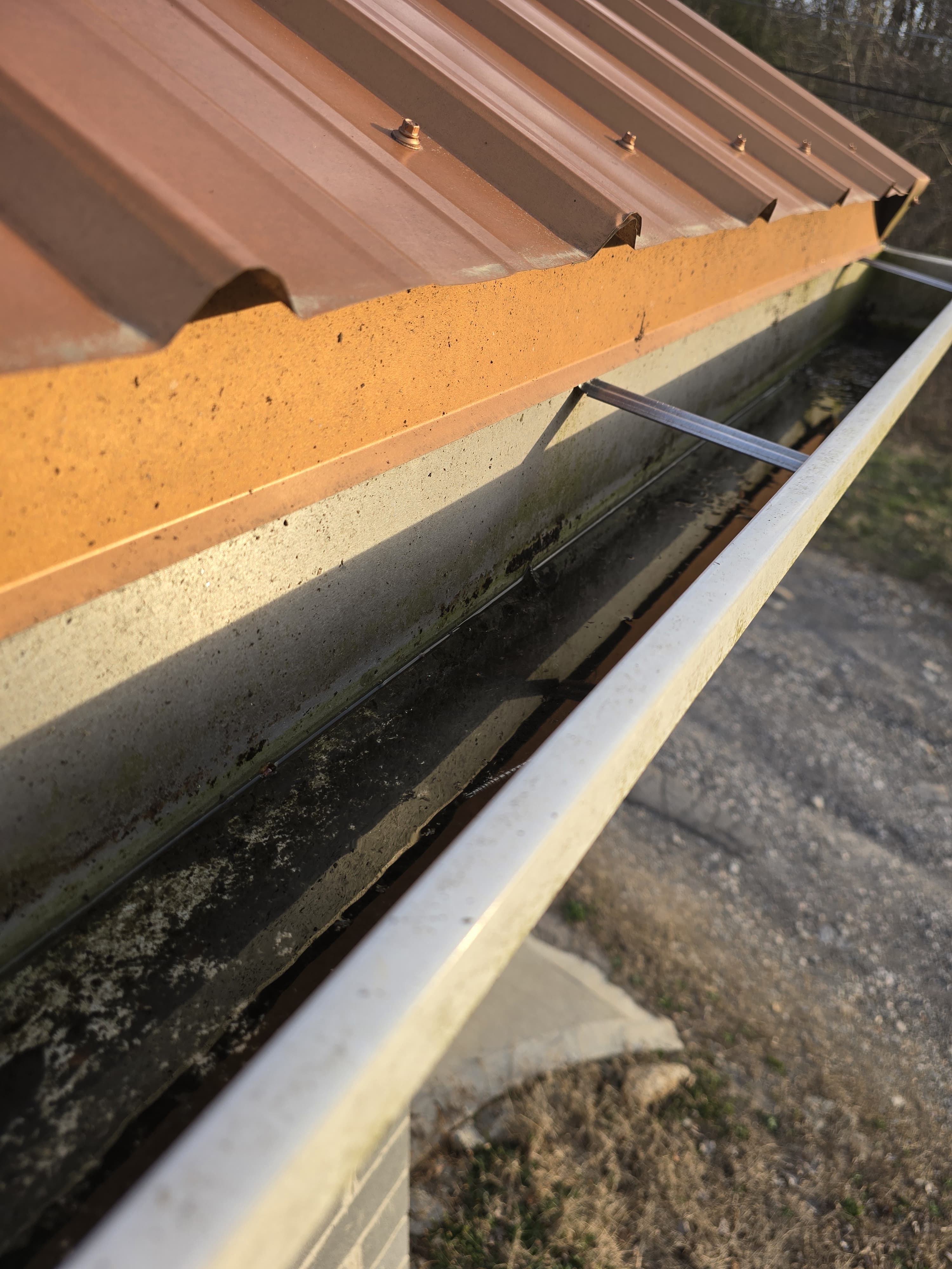 Close-up of gutter corrosion and mildew buildup on fascia — evidence of long-term water exposure